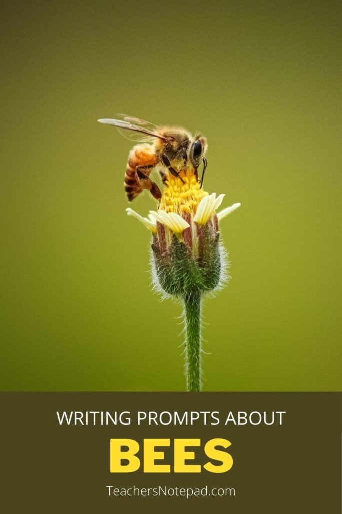 good titles for essays about bees