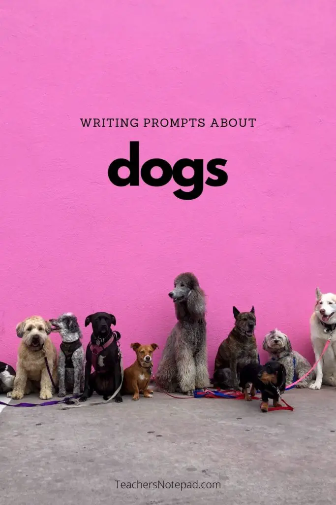 creative writing prompts dogs