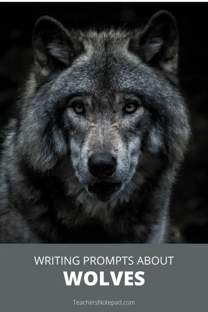wolf description creative writing