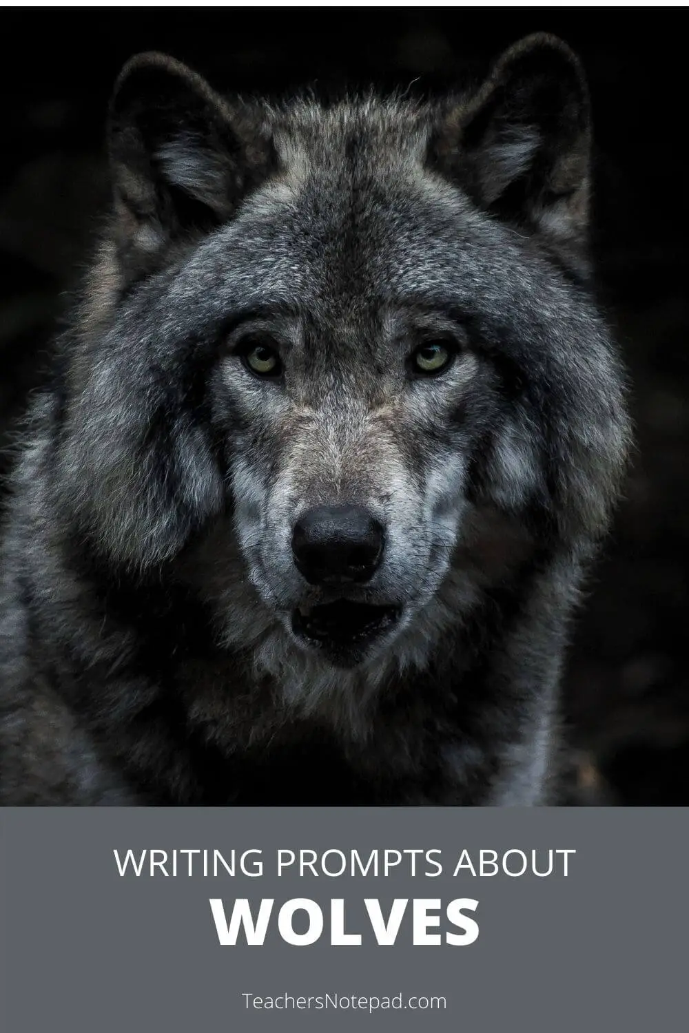creative writing on wolf