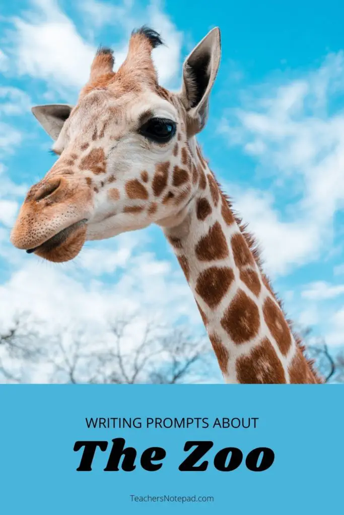 creative writing ideas about animals